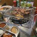 꼴통돼지 이미지