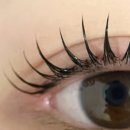 유어래쉬 이미지