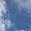 GS25부평시장점 | 25/09/04 인천 일상 기록 , 활기찬 부평 깡시장 구경과 큰손생삼겹살 후기