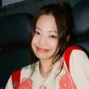 하나당 이미지