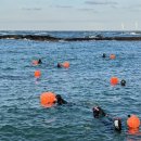 육지&해녀 이미지