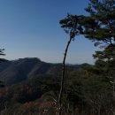 관불산(冠佛山398m).장학산(長鶴山380m).천종산(410m). 천봉(千峰422m)/충남 유구 이미지