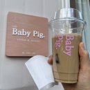 베이비 피그 Baby Pig 이미지