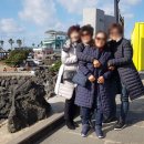 매계초등학교 | 제주도 우정여행으로 택시투어 택시대절 안성맞춤!