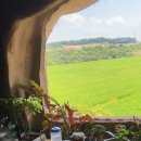 사계의들녘 이미지