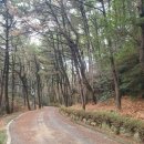 이마트24 부산다대포점 | 2026.2.27 ~ 2.28 부산 1일차 몰운대, 다대포해수욕장(2/27)