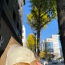 빅토리아한방병원 | 허그부기6