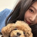 조이캣 이미지