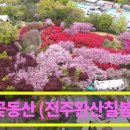 🌸 꽃동산 봄풍경 🌸 전주완산칠봉"꽃동산" 🌸드론영상 [전국명소탐방48] 이미지