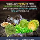오엔오 네이버블로그