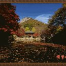 황룡초등학교 이미지