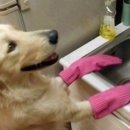 파스타집이야 이미지