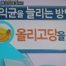 삶의 질을 높이는 유익균 늘리는 방법 이미지