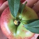 문스팩토리 이미지