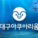 연간 이용권 후기