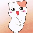 반짝반짝 - 북구 동북로37길 58 | 반짝반짝