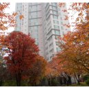 청라미래약국 이미지