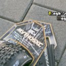 가좌엠티비 이미지