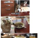 전통국수 이미지