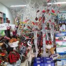 새들약국 이미지