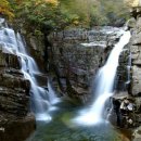 무릉이가 이미지