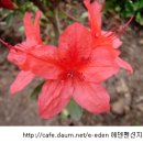 에덴펜션 이미지