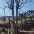 배성유치원 이미지