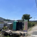 방울산농원 | 새에덴 농원 방울토마토 구매 후기 🍅 싱싱하고 달달한 토마토 따기 체험까지