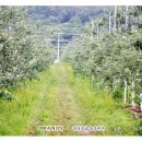 윤길농장 이미지