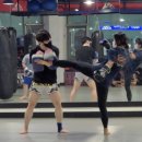 와코짐 이미지