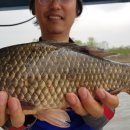 송전지 수원좌대