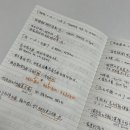 중국어 | 미룬이의 랭디 중국어 내돈내산 후기