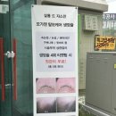 살롱 드 쟈스민 이미지