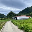 나리다온 이미지