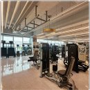 웰니스앤핏 헬스 PT 동탄호수공원점 | 동탄 헬스장 추천, 웰니스앤핏 헬스 PT 동탄호수공원점 후기:)