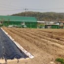 신원동-1 이미지