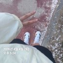 소소PLAY | 2026 Play True Run 4.17km 버츄얼런 러닝 후기