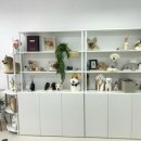 베베몽몽 이미지