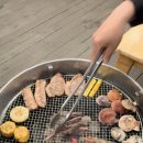통영요트파티 이미지