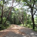 상주 남장사 일주문 이미지