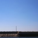 고양이마법사 이미지