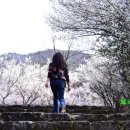 용흥사진입로 이미지