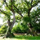 영암수성사 이미지