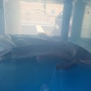 사랑방메기탕화명점 이미지