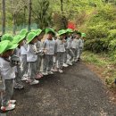 달천유아숲체험원에서는요~