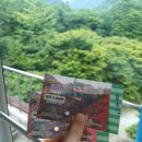 평화보리밥 | 정읍여행_내장산케이블카 내장사 시장보리밥