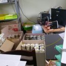 황금잡곡 이미지