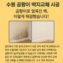 가정지업사 | 【수원도배 곰팡이 누수도배벽지교체 시공 후기】곰팡이로 얼룩진 벽 이렇게 해결했습니다
