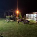 달마스테이 이미지