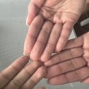 별고을오토캠핑장 이미지